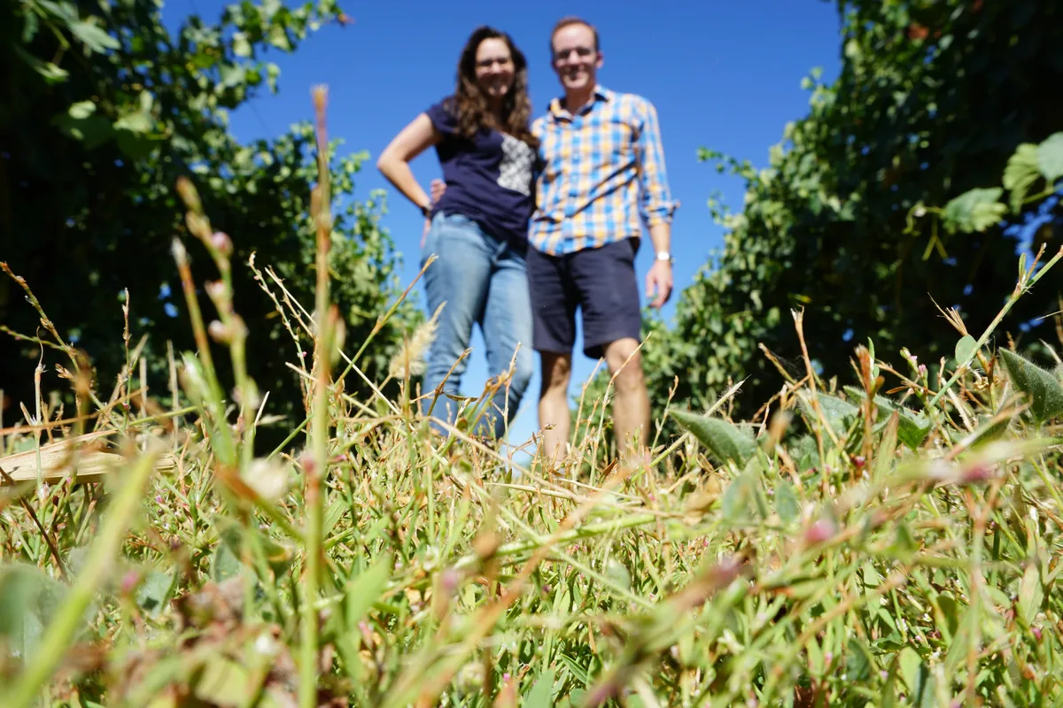 Dan and Jacqueline standing together in a sunny vineyard row in the summer of 2017, seen from low in the grass