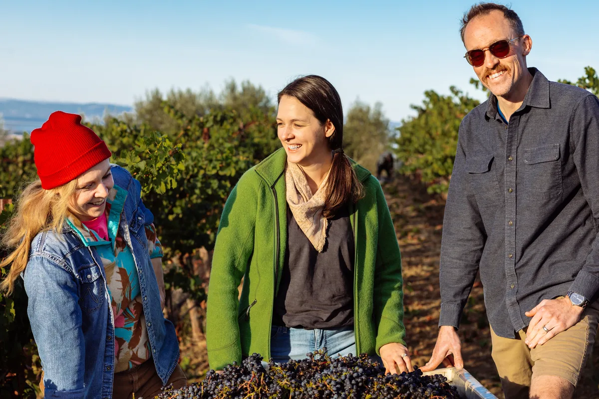 Three people smiling over a full bin of freshly picked grapes in the vineyard on a sunny harvest morning